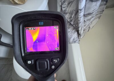 Moisture Detection Clearwater Florida