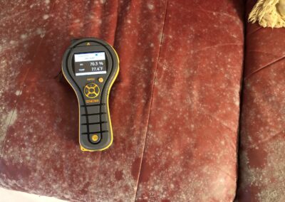 Moisture Detection Clearwater Florida