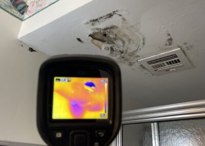 Moisture Detection Clearwater Florida