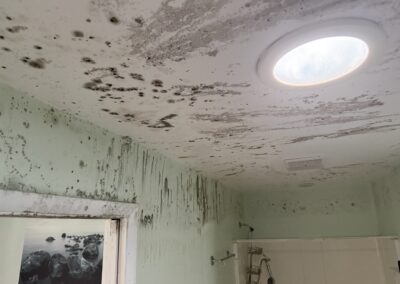 Mold Remediation Clearwater Florida