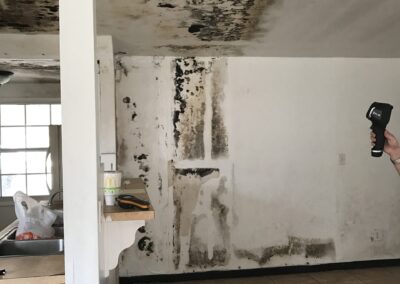 Mold Remediation Clearwater Florida