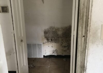 Mold Remediation Clearwater Florida