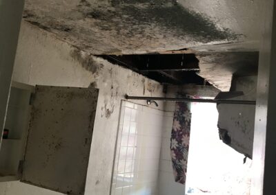 Mold Remediation Clearwater Florida