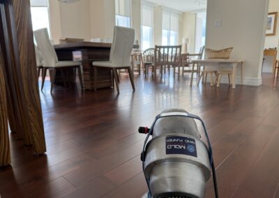 Mold-Remediation-Clearwater-Florida