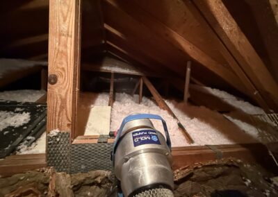 Mold Remediation Clearwater Florida