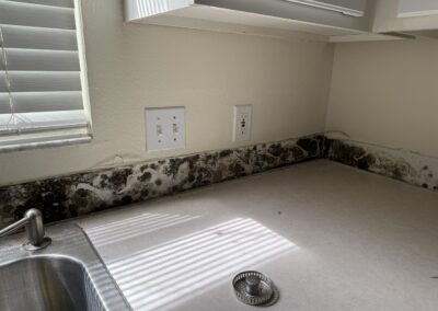 Mold Remediation Clearwater Florida