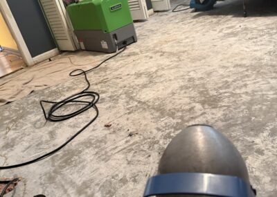 Mold Remediation Clearwater Florida