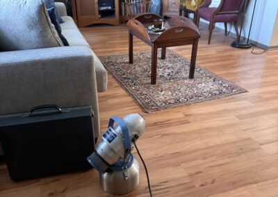 Mold Remediation Clearwater Florida