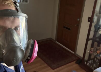 Mold Remediation Clearwater Florida